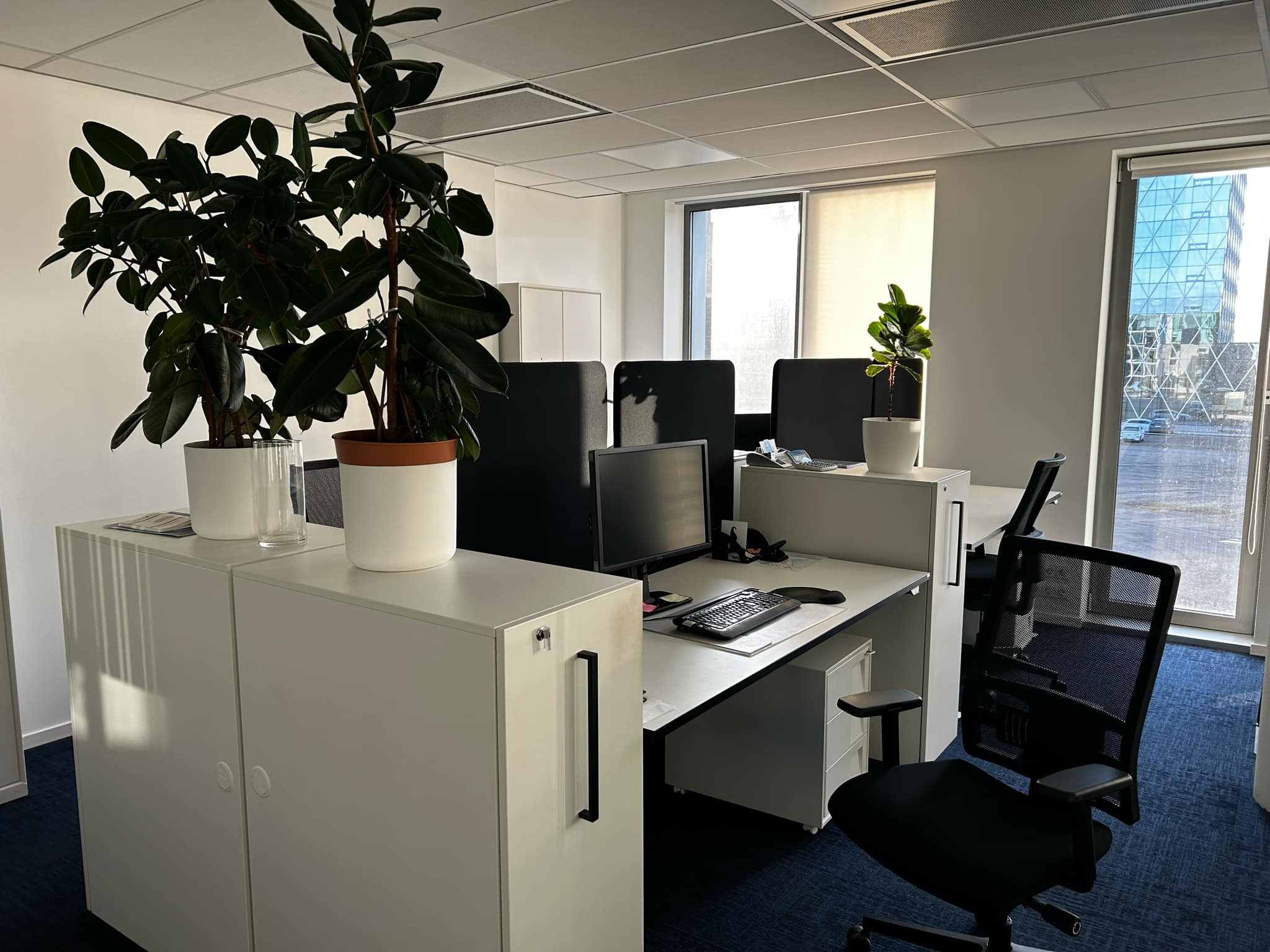 0d153a13-b03e-47d4-8b9b-ab9f9d13402f 0d153a13-b03e-47d4-8b9b-ab9f9d13402f