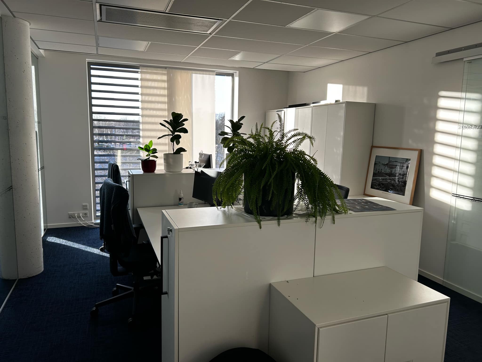 1d31f744-0500-46a6-b9e3-f5cd0a597b2f 1d31f744-0500-46a6-b9e3-f5cd0a597b2f