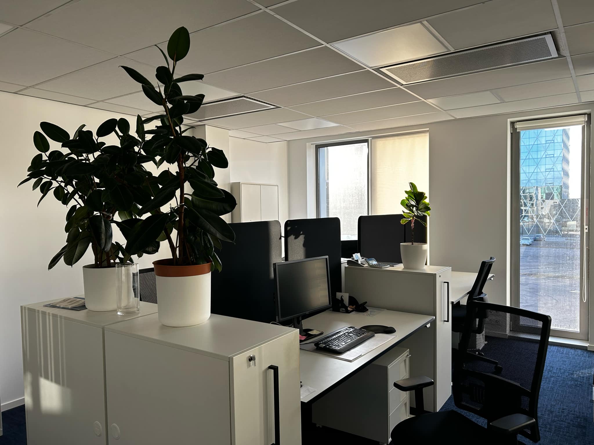 4d2de76b-fe2d-47ef-bdc5-b43ac742c8d4 4d2de76b-fe2d-47ef-bdc5-b43ac742c8d4