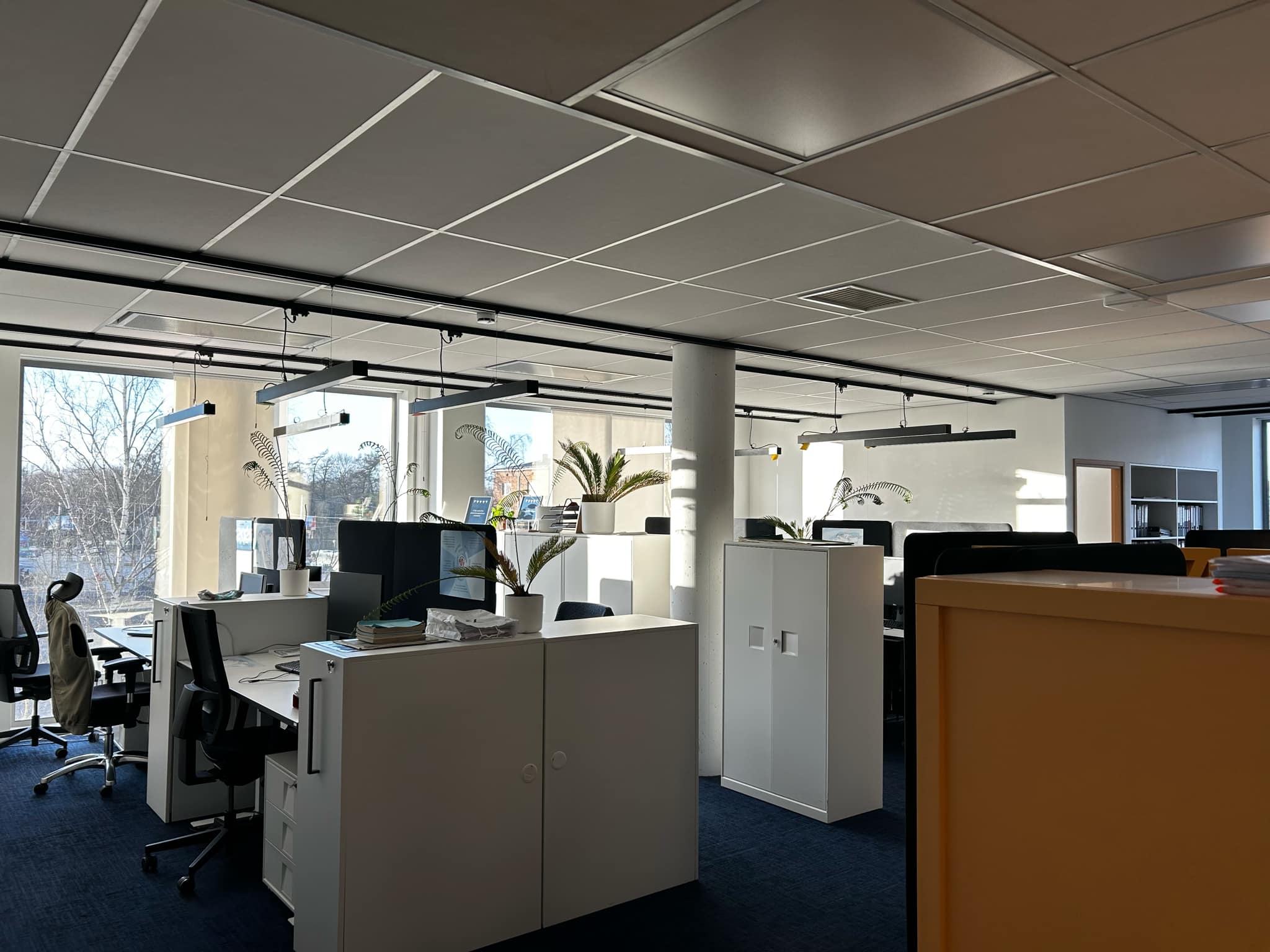 c9005a43-cae5-4dfa-bd8c-89681b847446 c9005a43-cae5-4dfa-bd8c-89681b847446